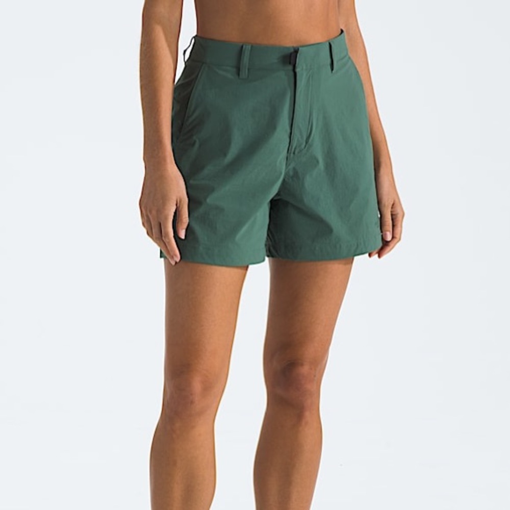 The North Face Basin 5" shorts in Duck Green